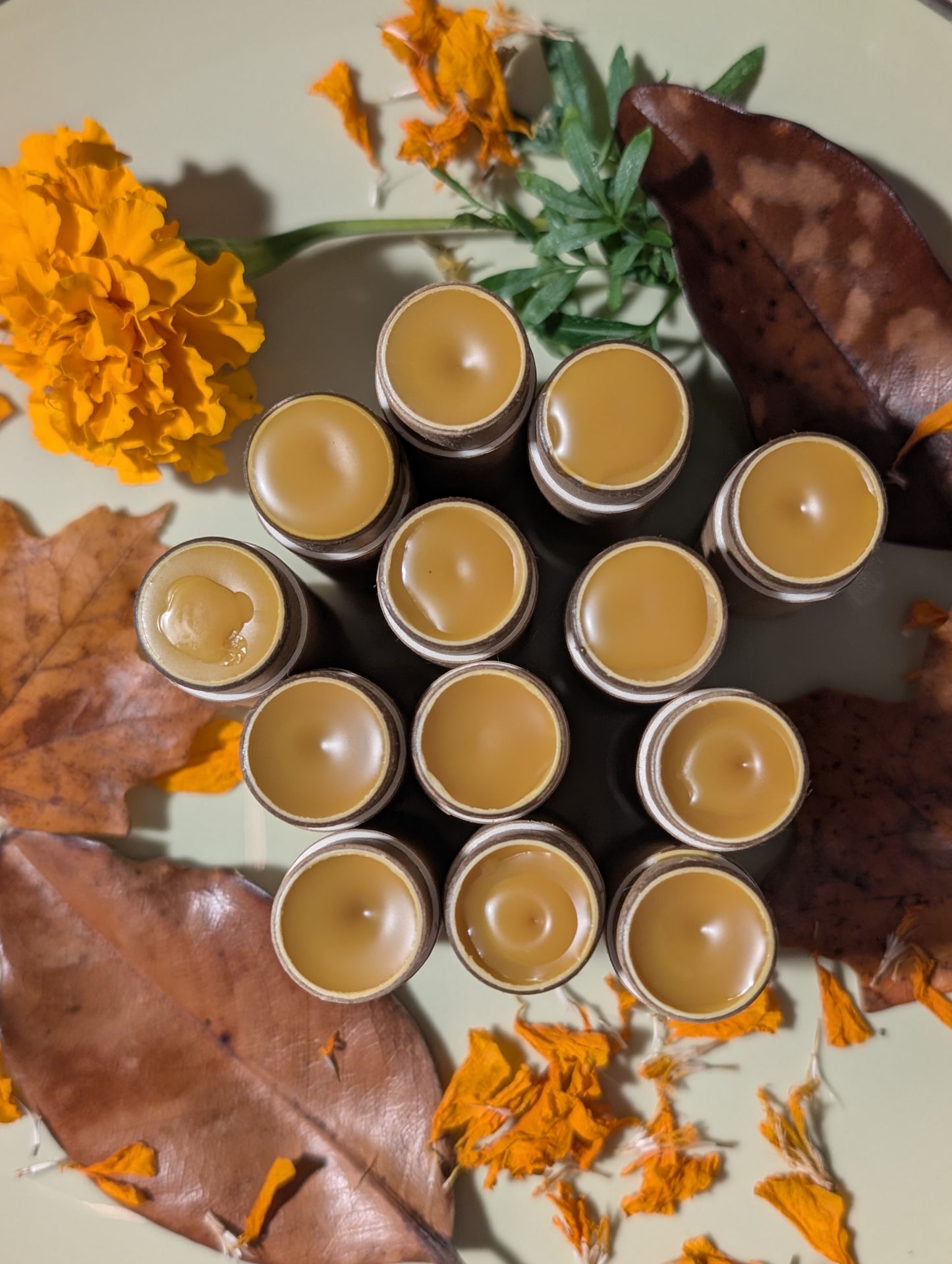 Golden Glow- Botanical Balm for Lips