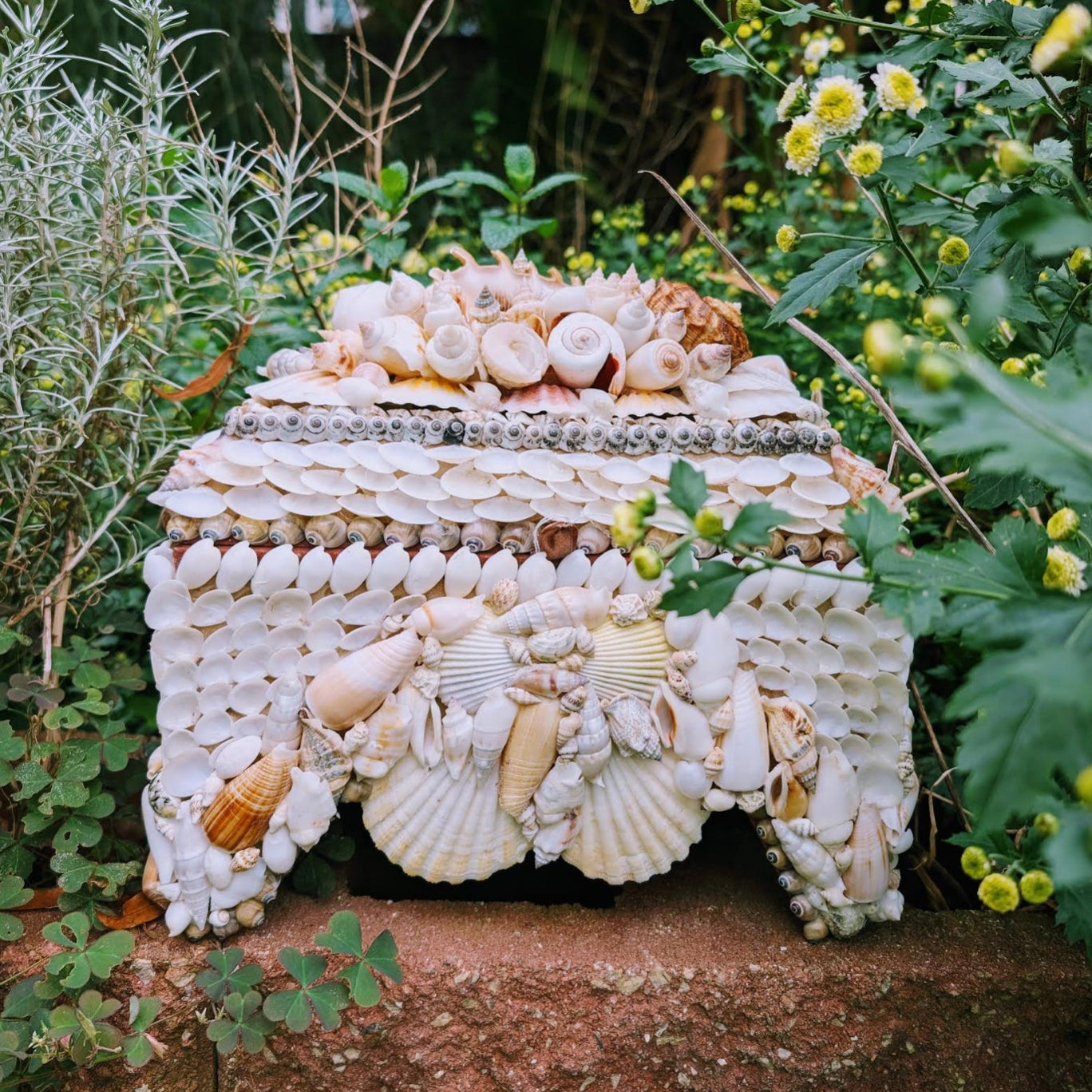 Vintage Style Seashell Box *Dove