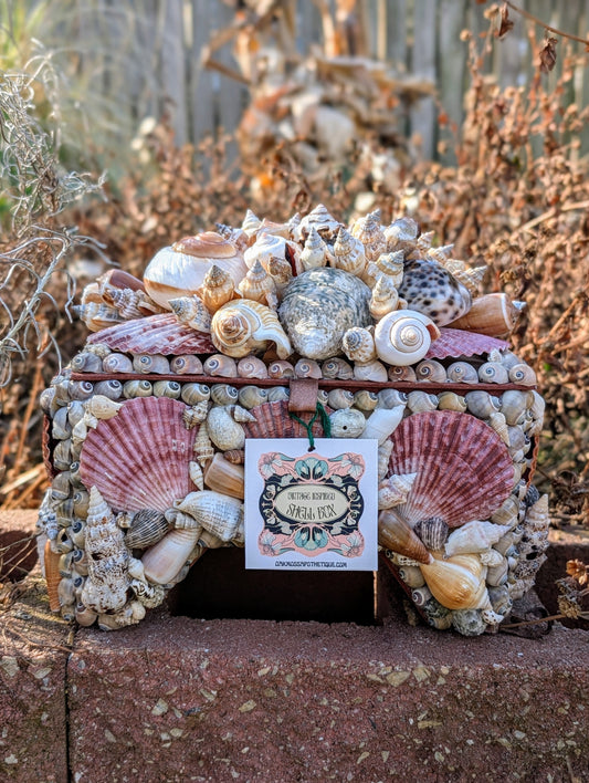 Vintage Style Seashell Box *Earth