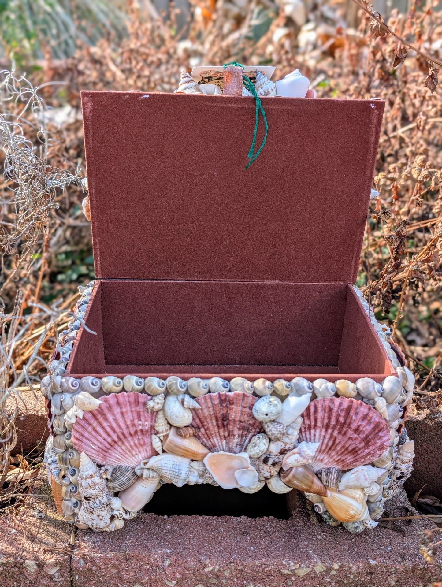 Vintage Style Seashell Box *Earth