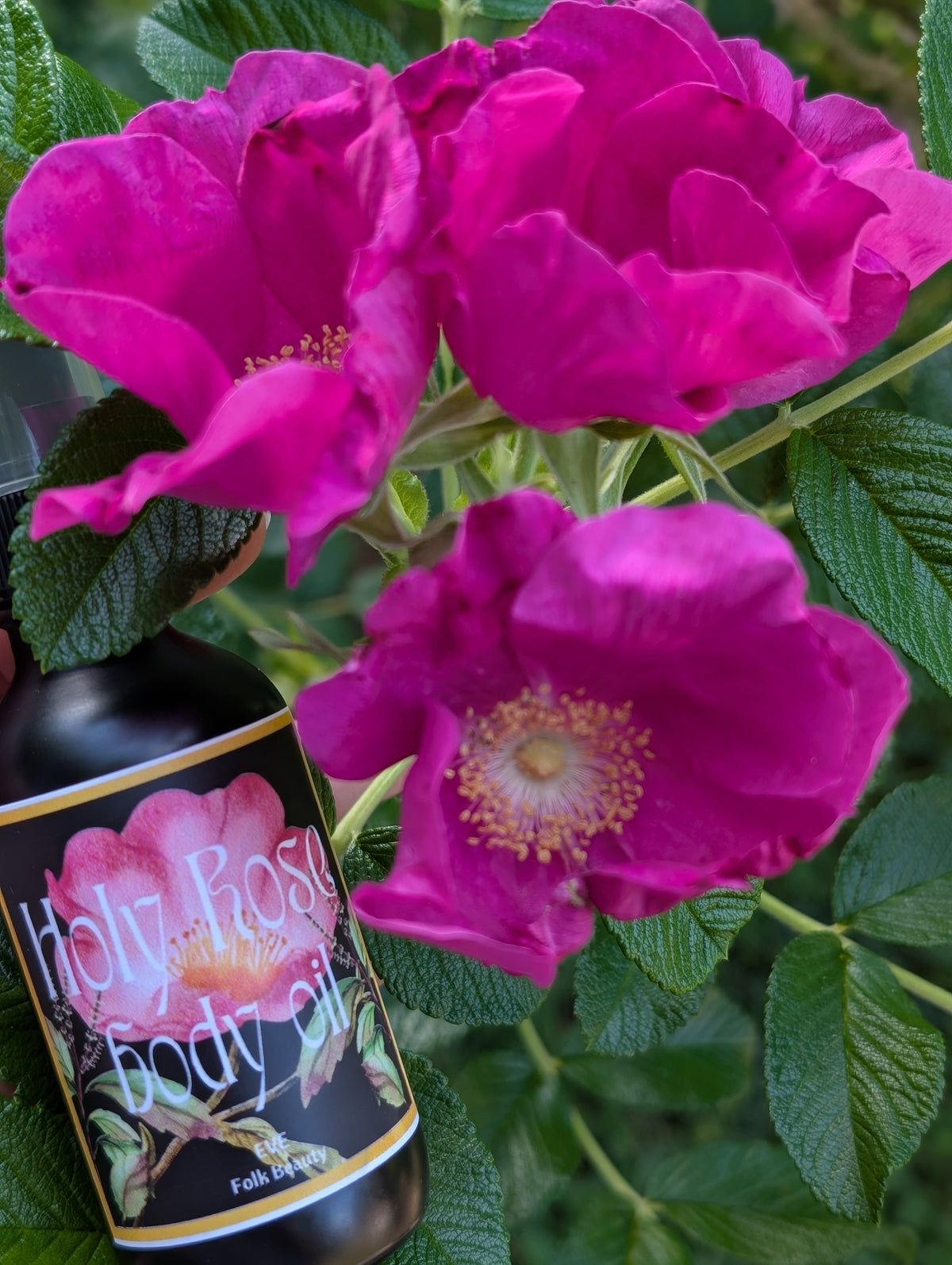 Holy Rose - Body + Anointing Oil for Soft, Radiant Skin