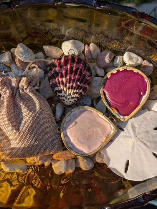 Time Travel Shell Compact in Moonlit / Bloom